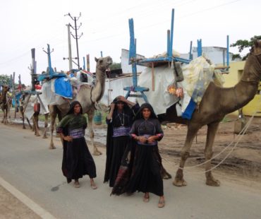 maldhari-women-with-animal