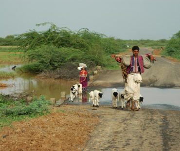 michael-rapar-bhuj-082