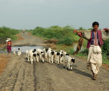 michael-rapar-bhuj-083